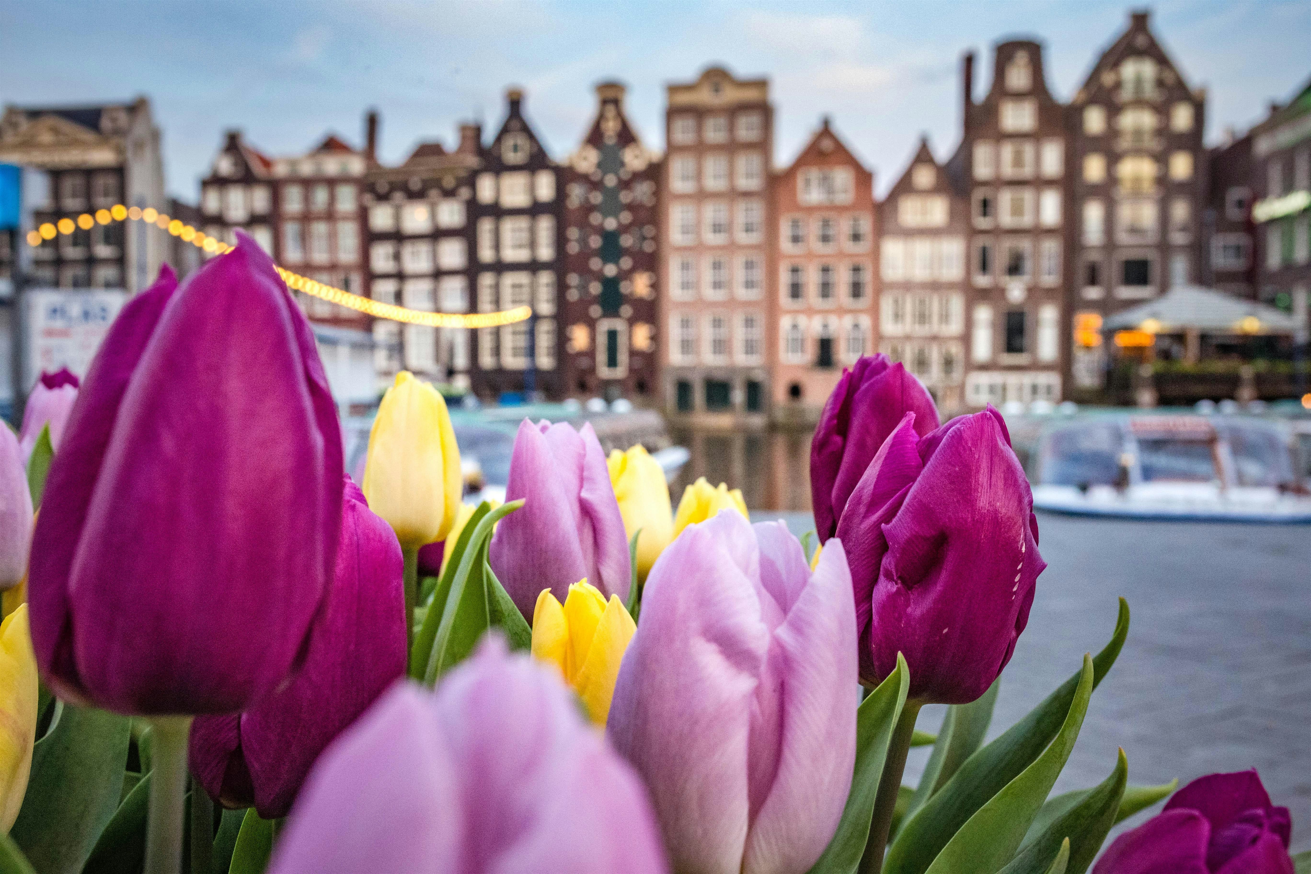Executive studies - MBA event in Amsterdam