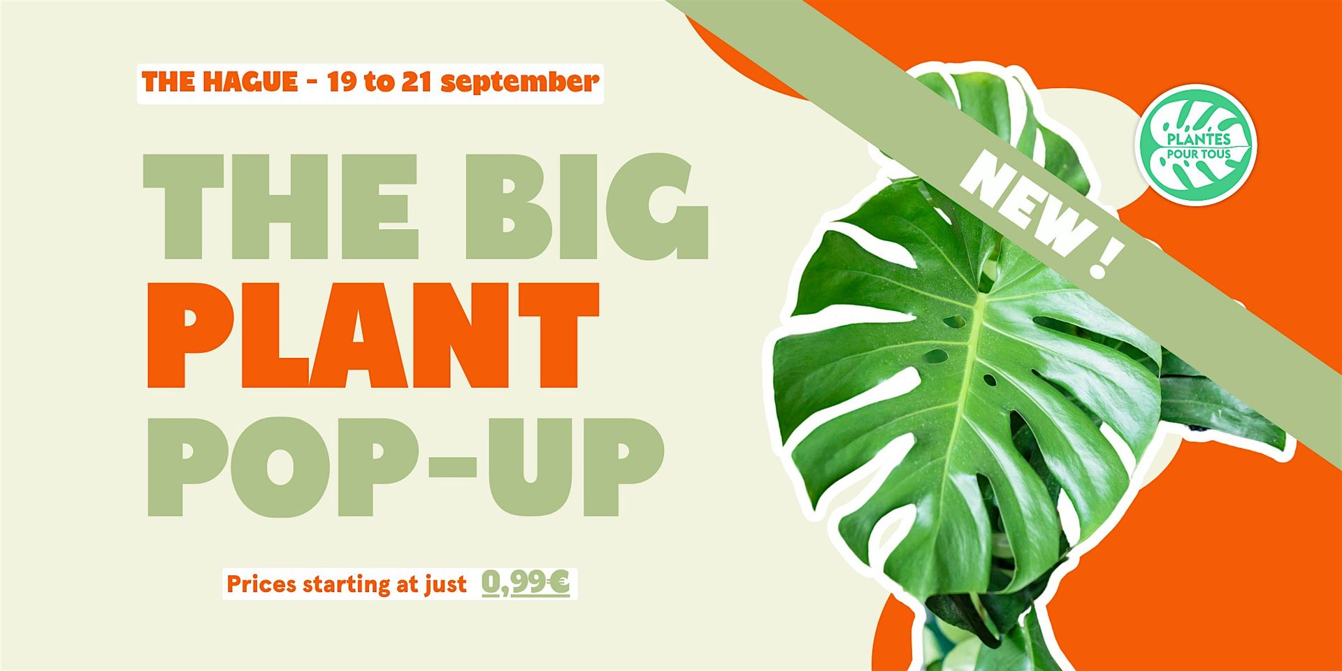The Big Plant Pop-up - The Hague