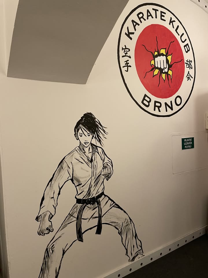 Karate limča po trenále