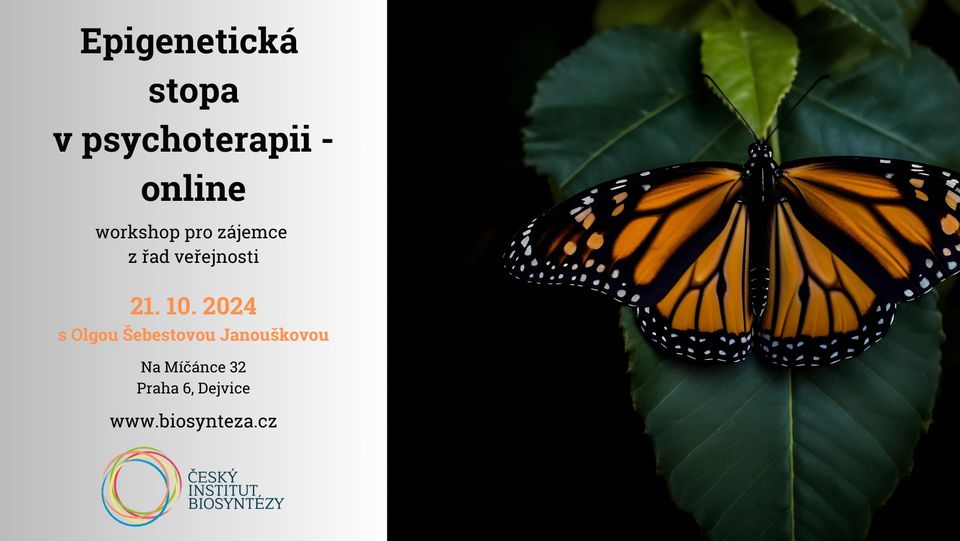 EPIGENETICKÁ STOPA V PSYCHOTERAPII - online