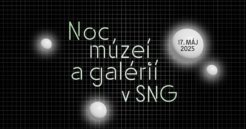 Night of Museums and Gallery in SNG