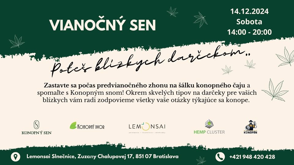 Vianočný sen