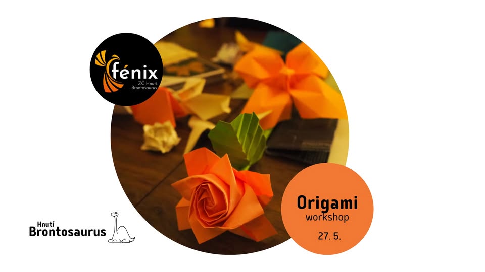Origami workshop