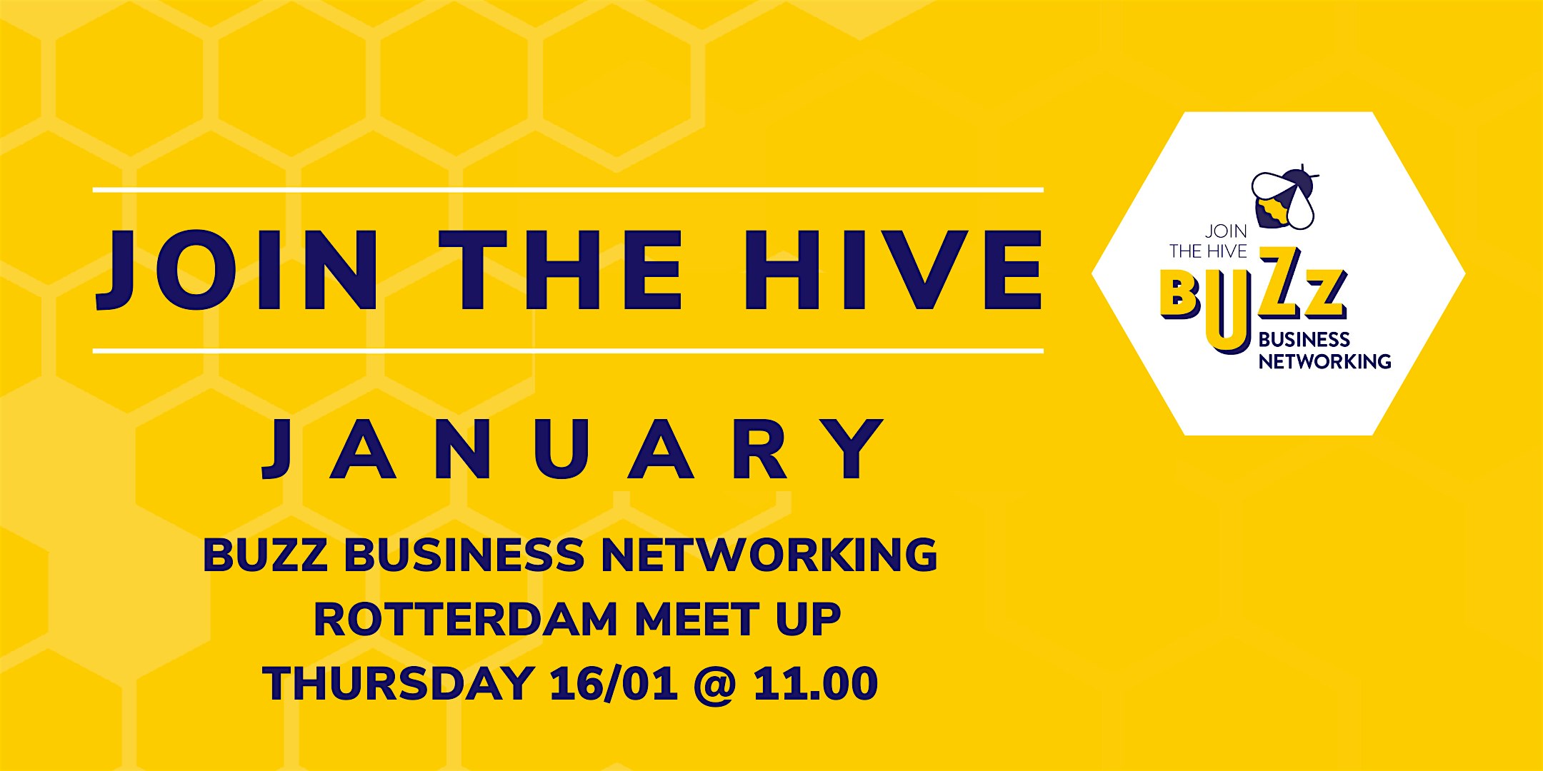 Jan 2025 Buzz Business Networking Meet Up – Rotterdam