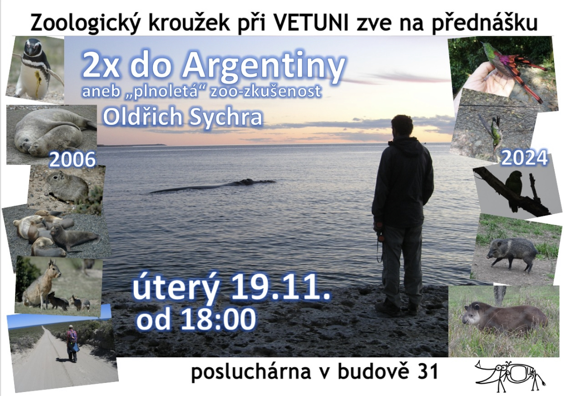 2x do Argentiny