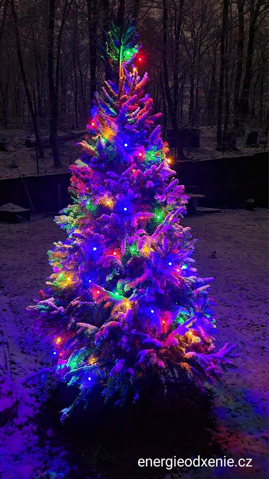 24 denní adventní vysílání plné inspirace zdarma