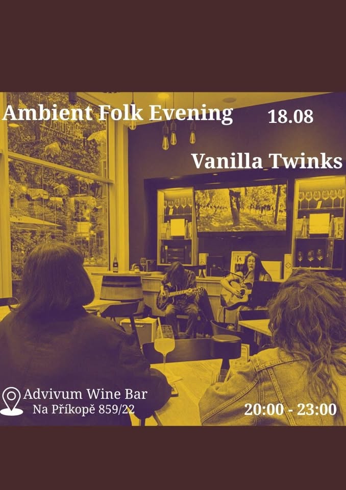 Ambient Folk Evening with Vanilla Twinks