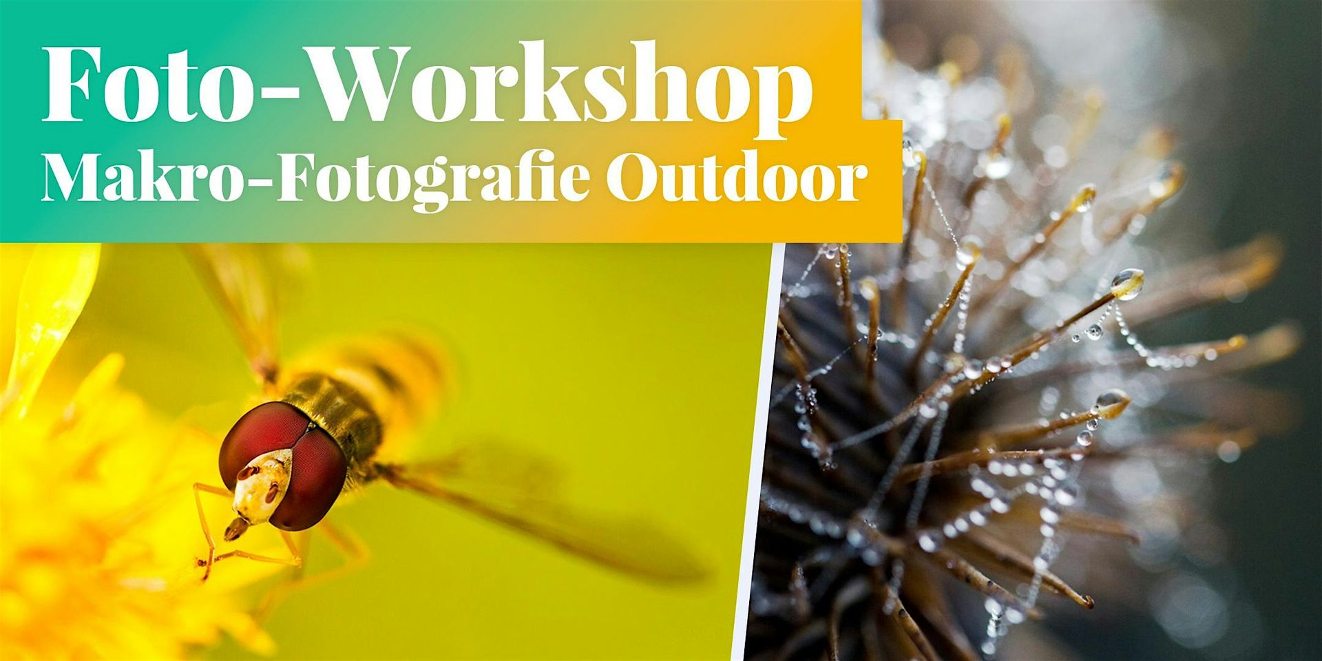 Fotokurs: Makro-Fotografie