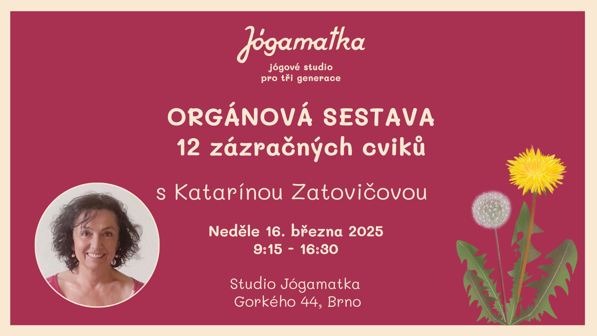 ORGÁNOVÁ SESTAVA - 12 zázračných cviků