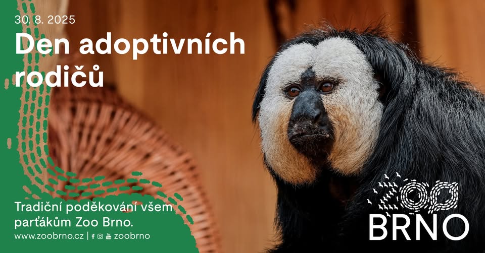 Den adoptivních rodičů