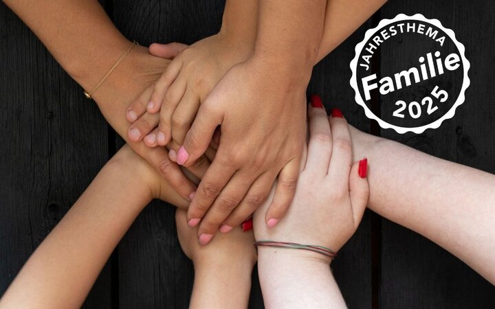 Wie viele Eltern verträgt ein Kind? Multiple Elternschaft, Kindeswohl und Sorgerecht