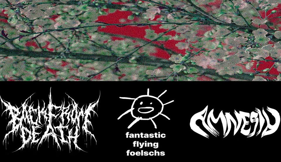 Back From Death • Fantastic Flying Foelschs • Amnesia