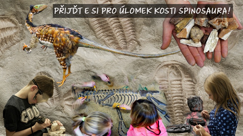 DINOSAUŘÍ HOREČKA, S ÚLOMKEM KOSTI SPINOSAURA V CENĚ