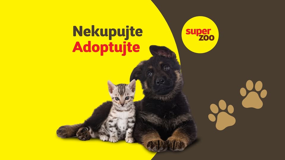 Adopčný deň v Super zoo Košice Shop Box