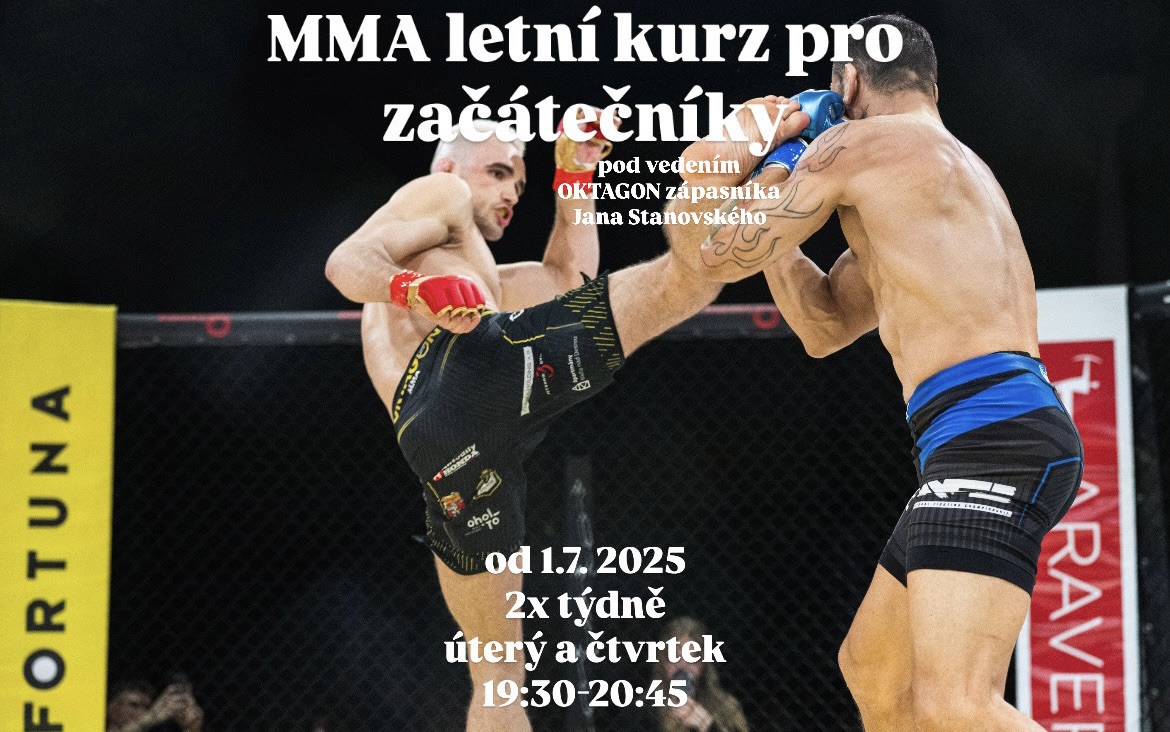 MMA - letní kurz pro začátečníky v Brně