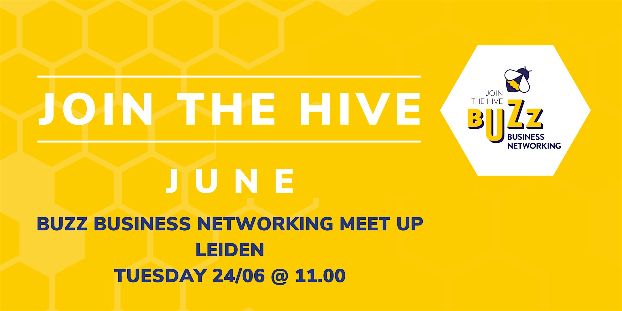 Jun 2025 Buzz Business Networking Meet Up – Leiden
