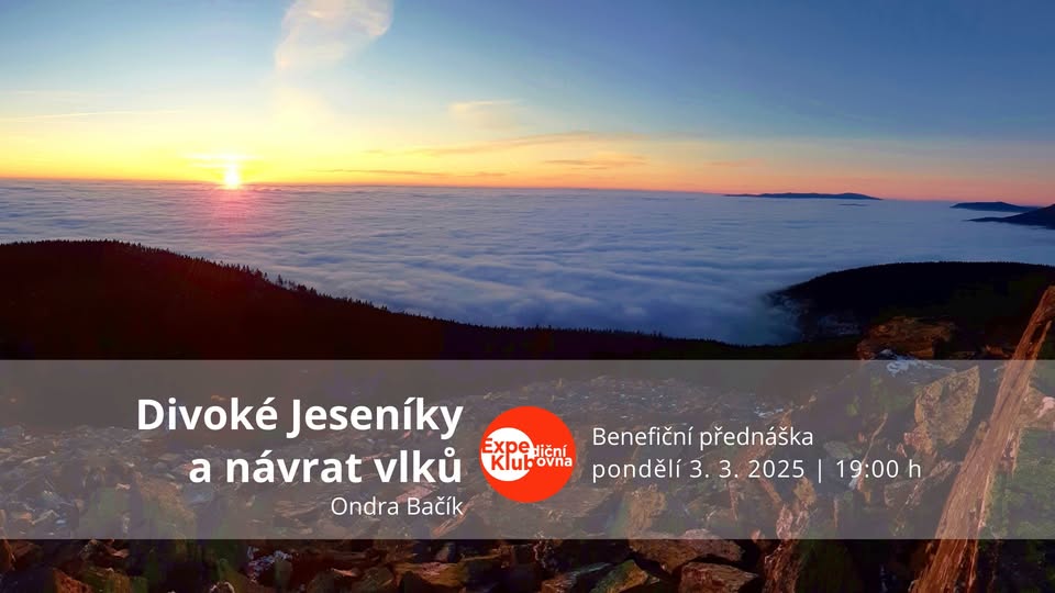 Divoké Jeseníky a návrat vlků