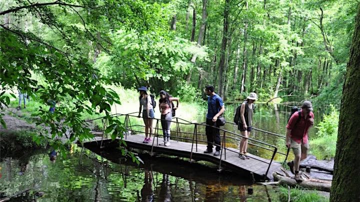 Fairytale Forest: Hike through the mystical landscape of Briesetal