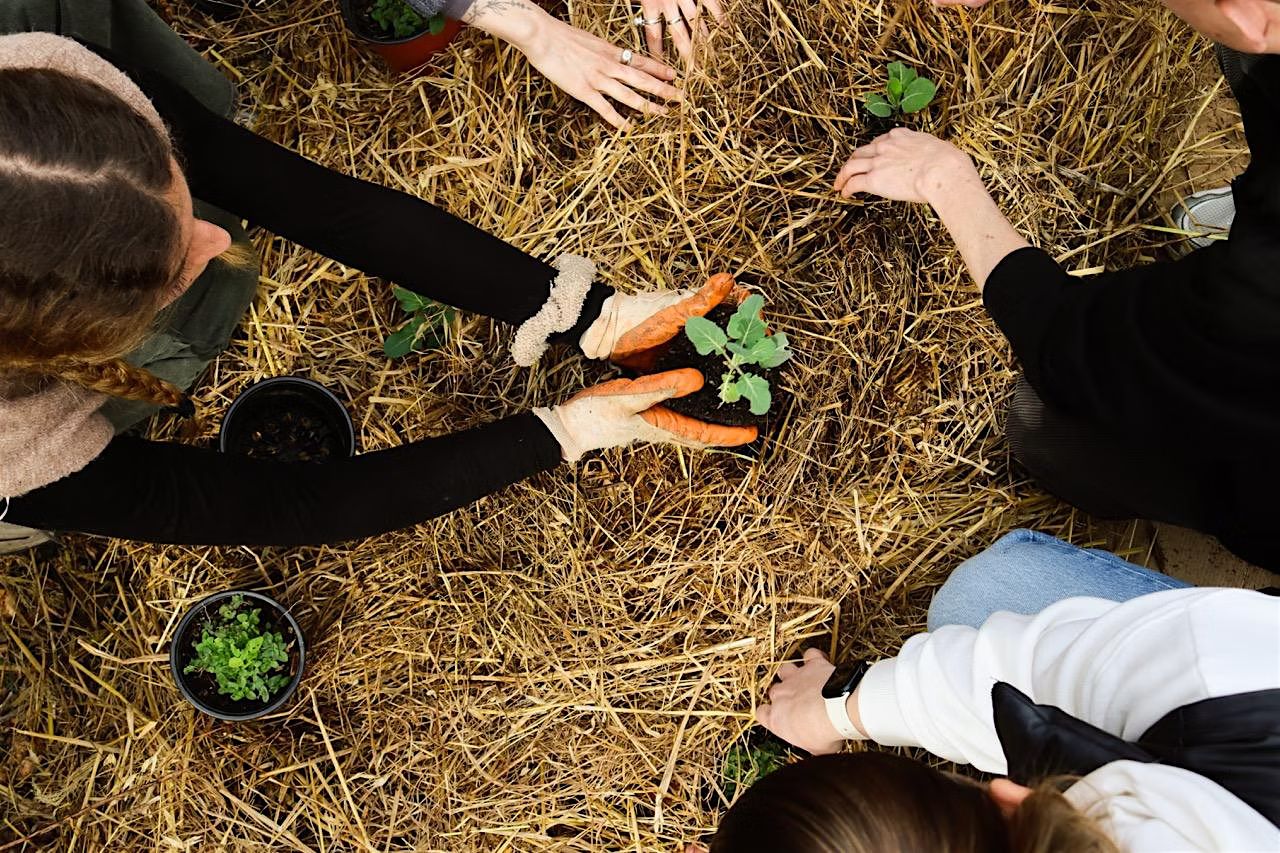 Permaculture Philosophy Free Seminar