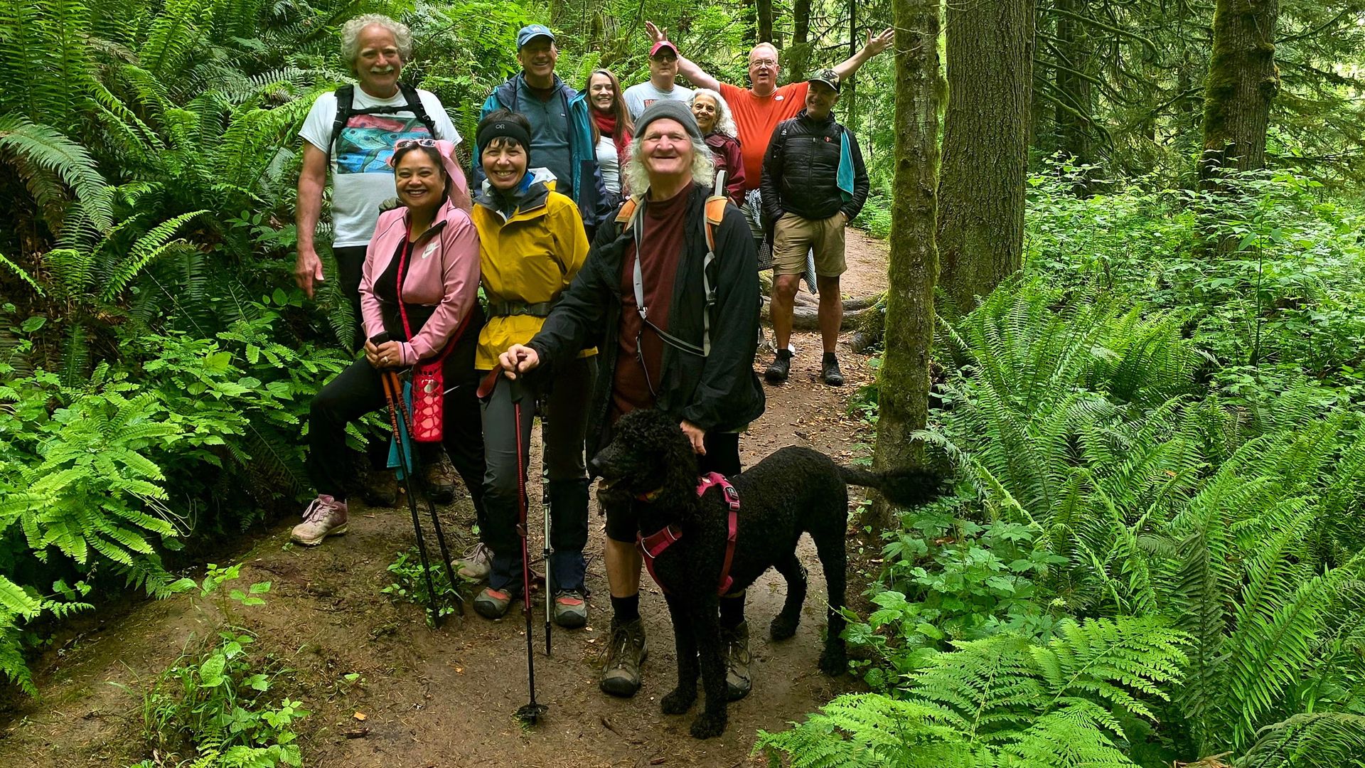Forest Park Beginner Friendly Fridays All Trails Challenge: Hike #20