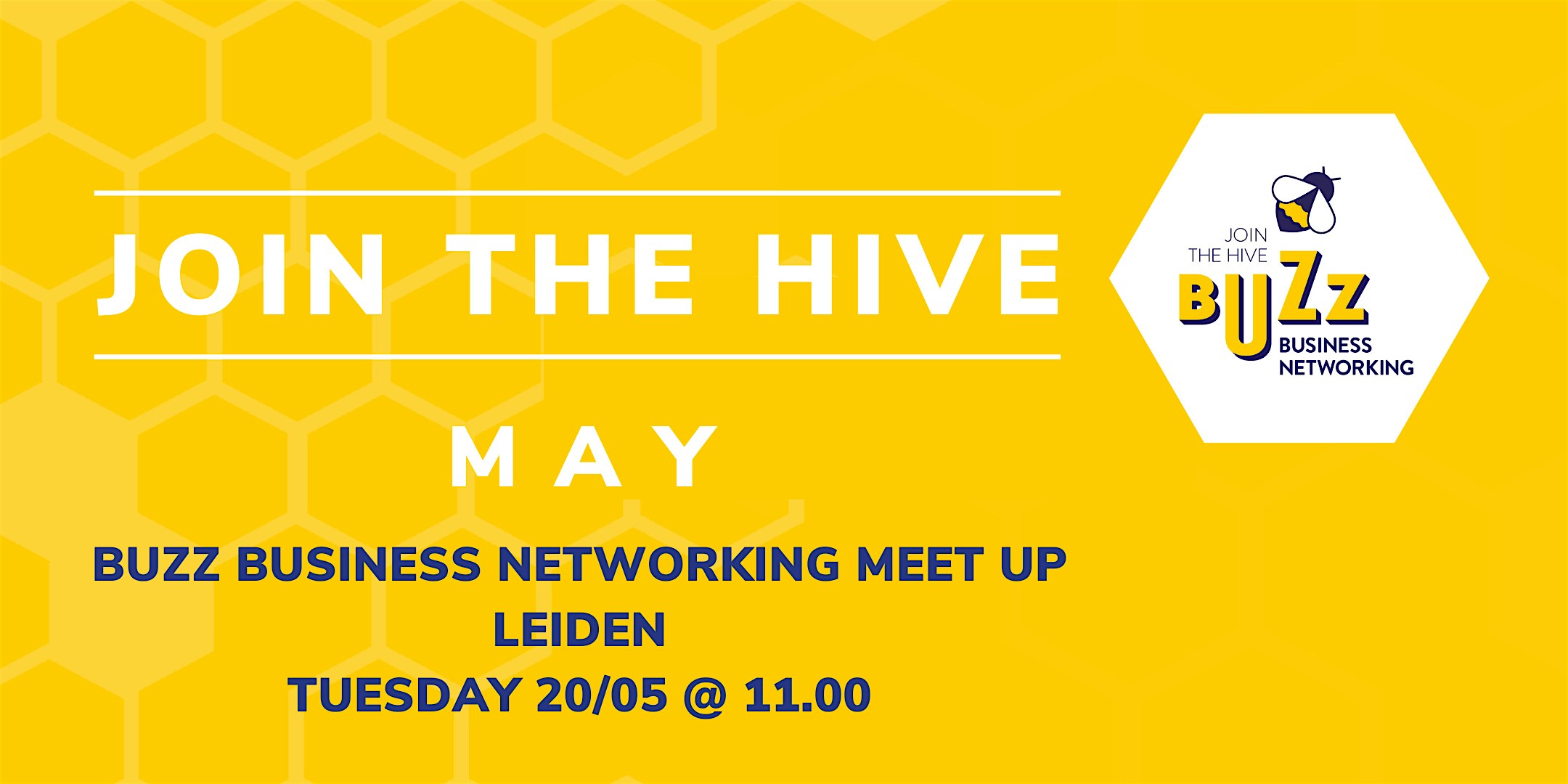 May 2025 Buzz Business Networking Meet Up – Leiden