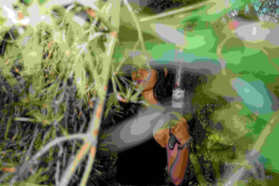 Ixchel Mendoza Hernández: A Scenario Of A System Off