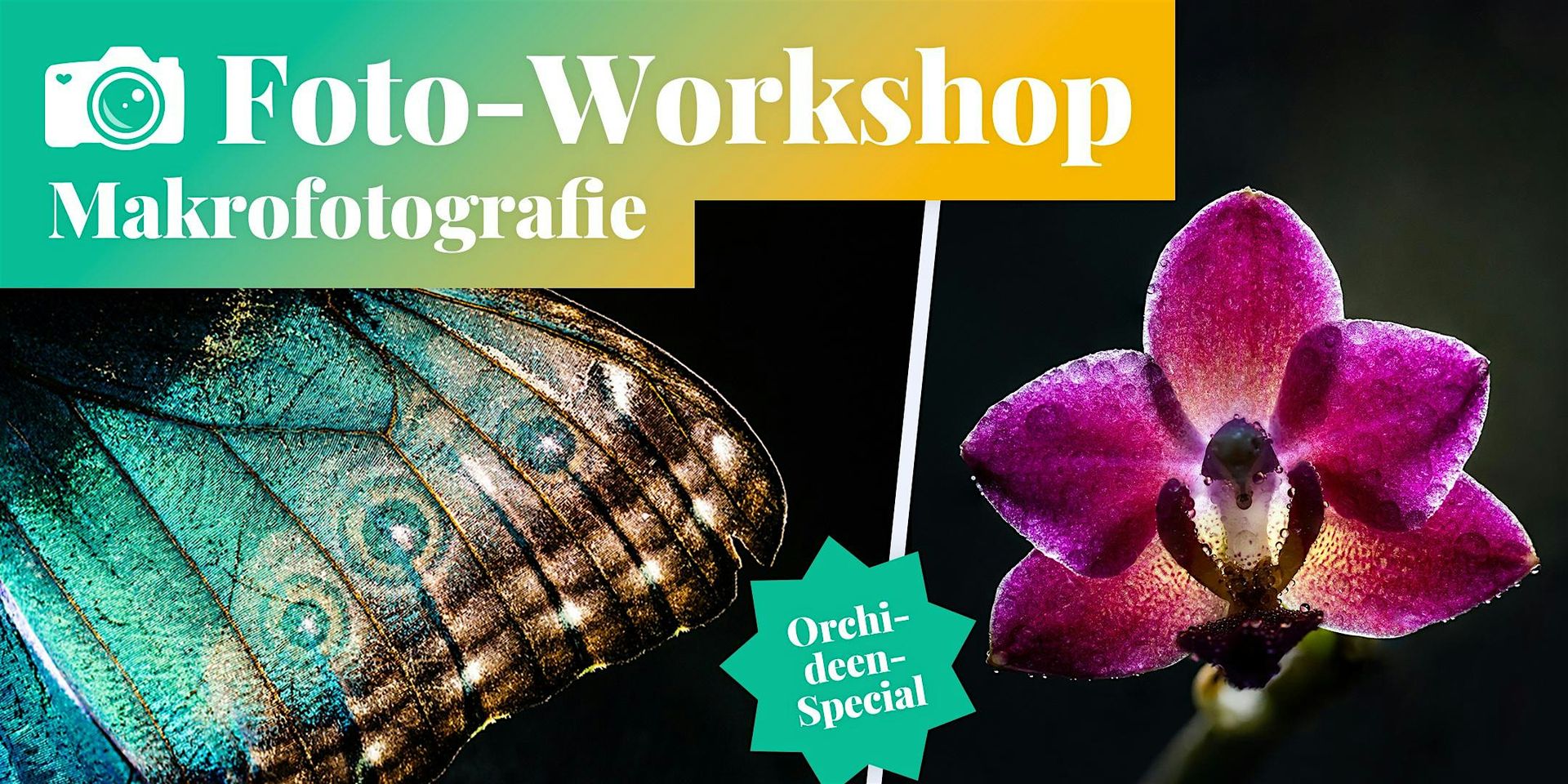 Fotokurs: Makrofotografie - Orchideenblüten-Special