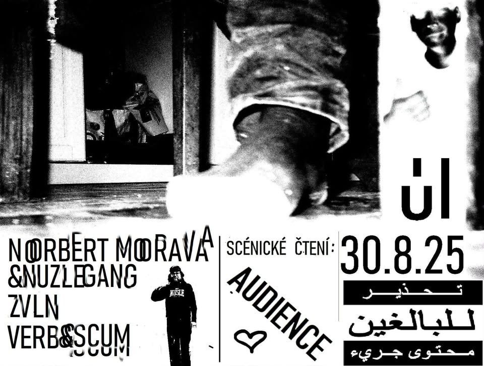 Norbert Morava / ZVLN / VERB&SCUM