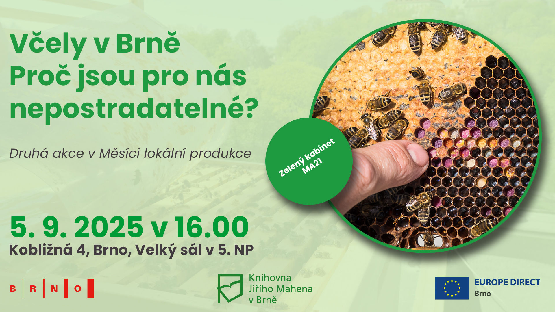 Včely v Brně: Proč jsou pro nás nepostradatelné?