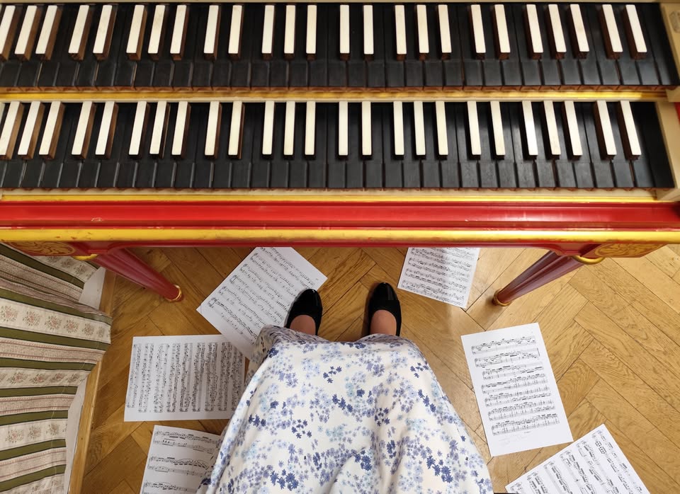 Ročníkový koncert Anežky Landové