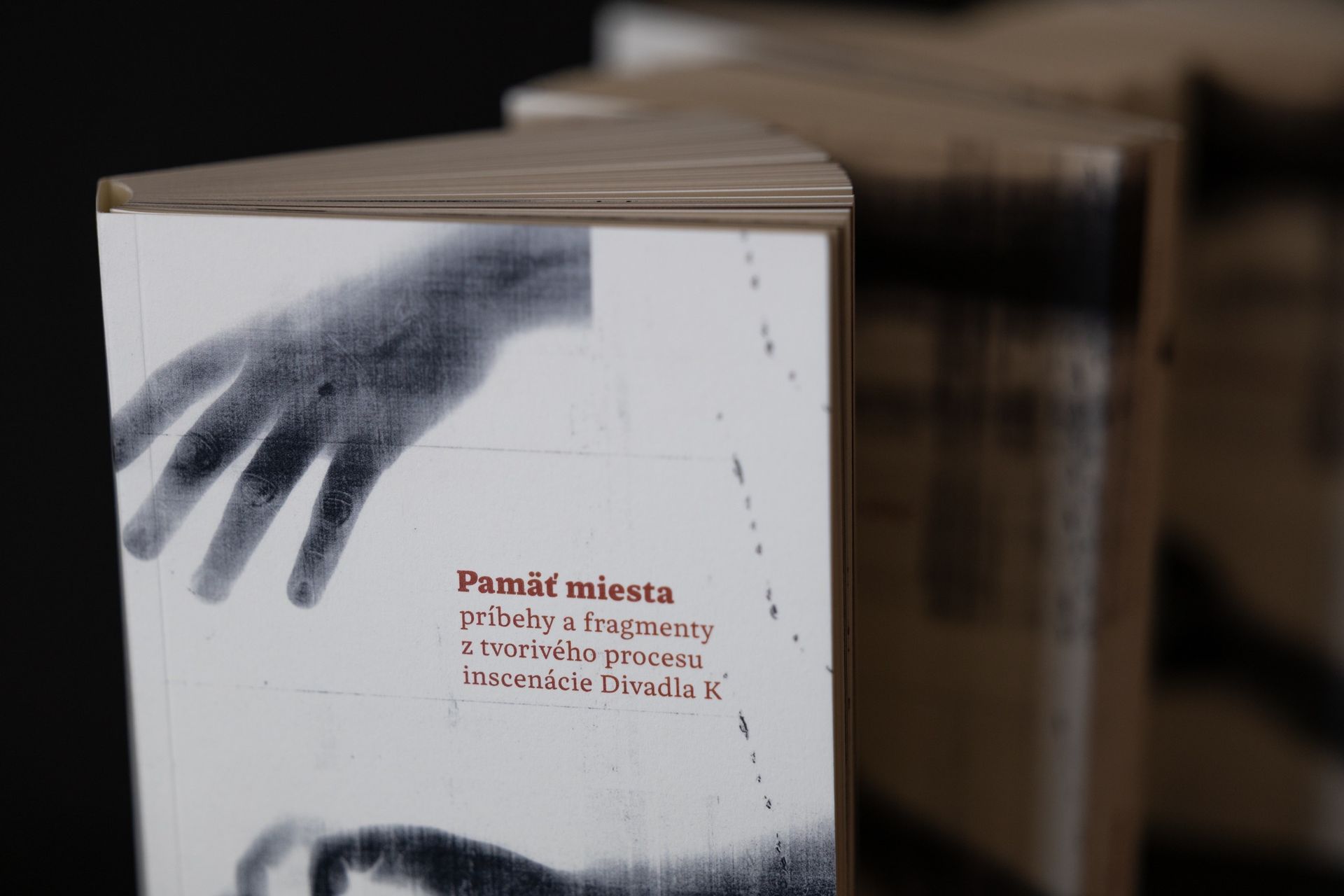 Uvedenie knihy : Pamäť miesta