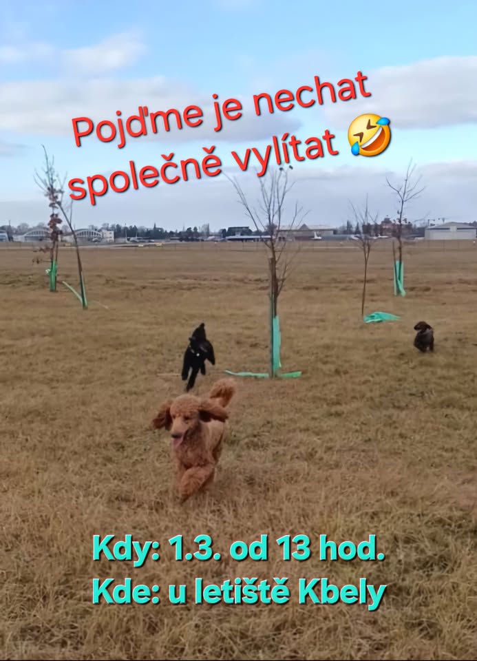 Procházka u kbelského letiště