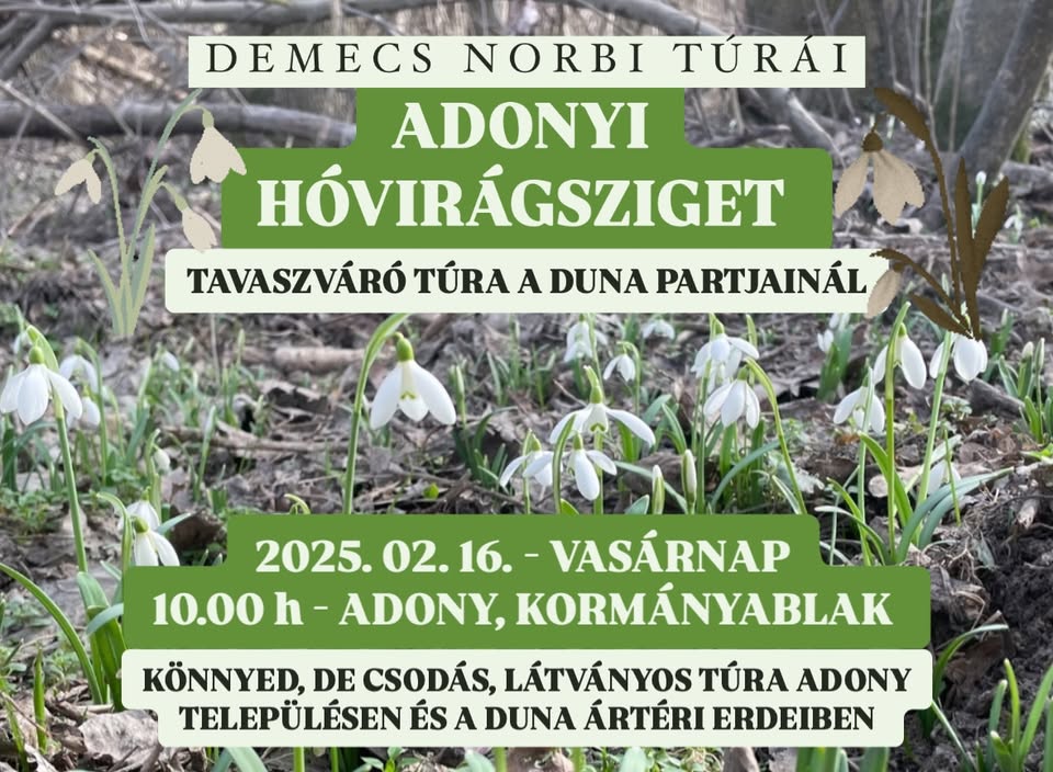 Adonyi hóvirágsziget túra - tavaszváró élménytúra a Dunánál