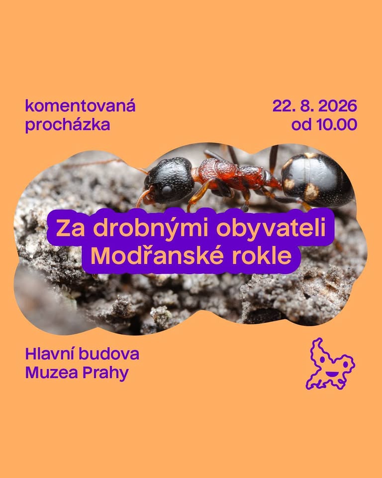Za drobnými obyvateli Modřanské rokle