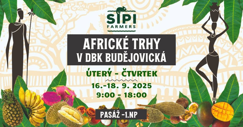 Africké trhy v DBK Budějovická