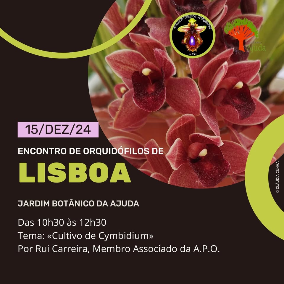 Encontro de Orquidófilos de Lisboa
