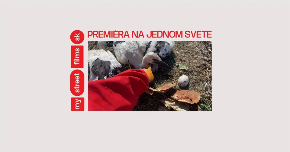 My Street Films SK 2024 | premiéra na Jednom svete