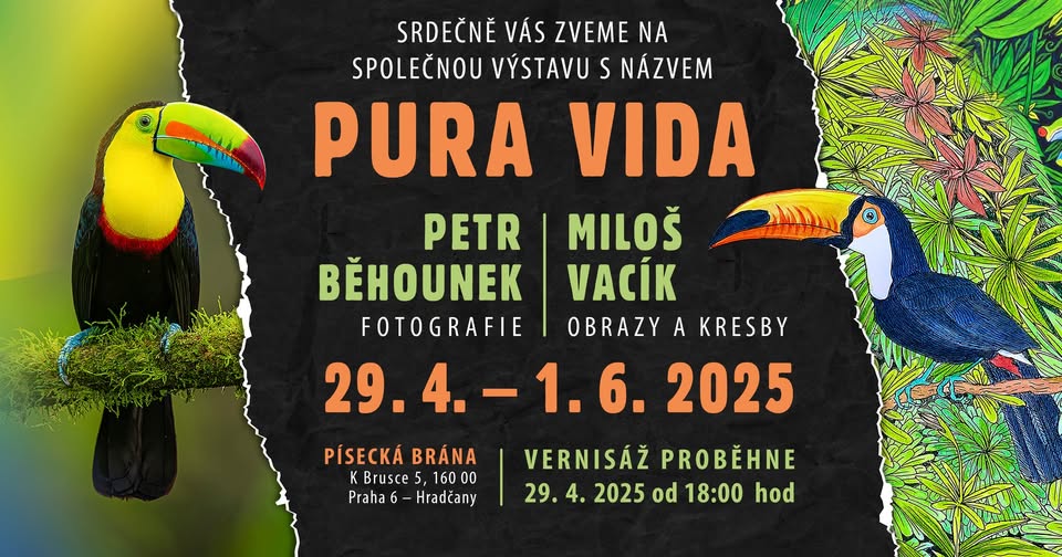 Pura Vida - výstava obrazů, fotografií a kreseb