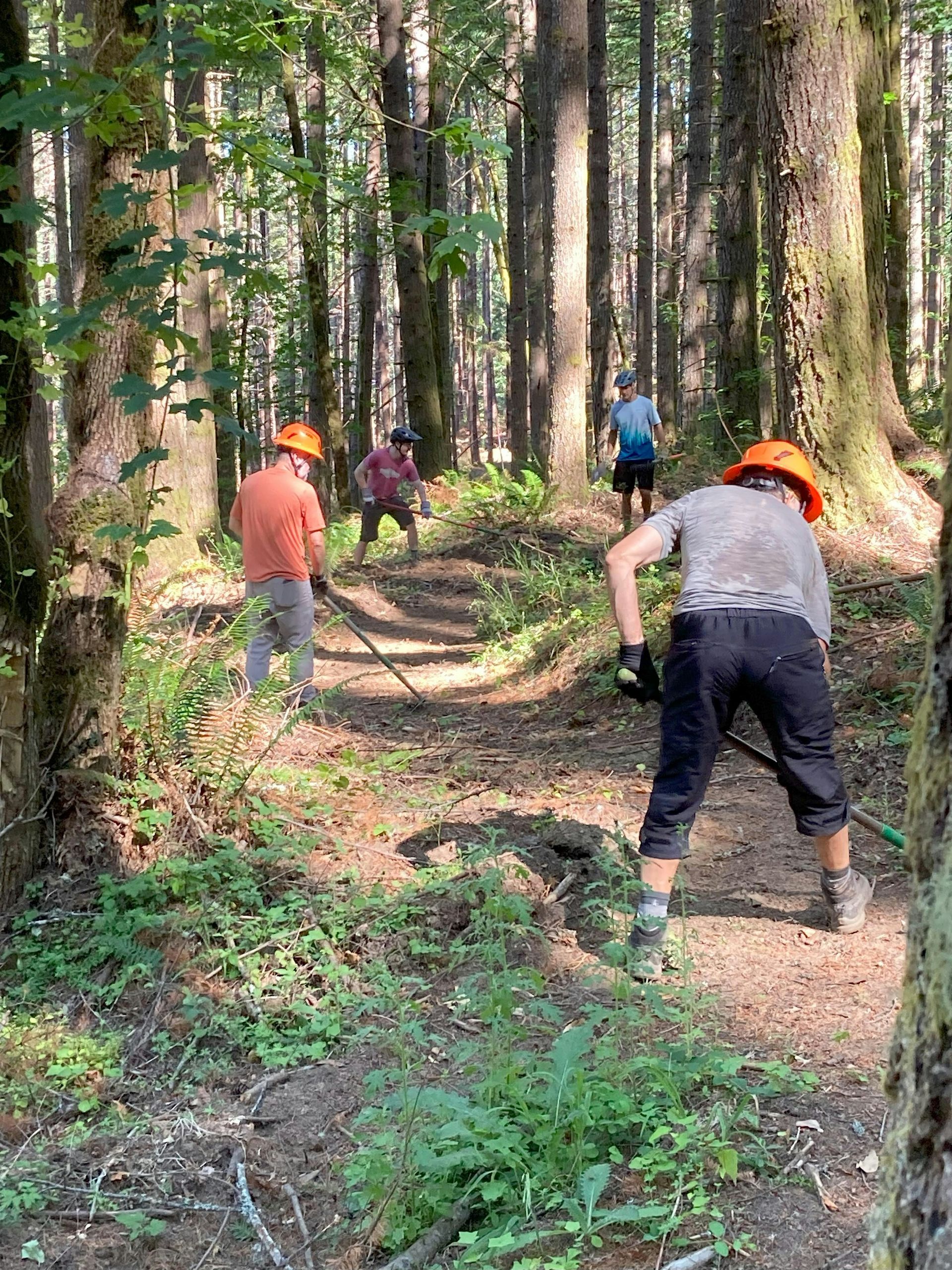Stub Trail Restoration Day: 01/11