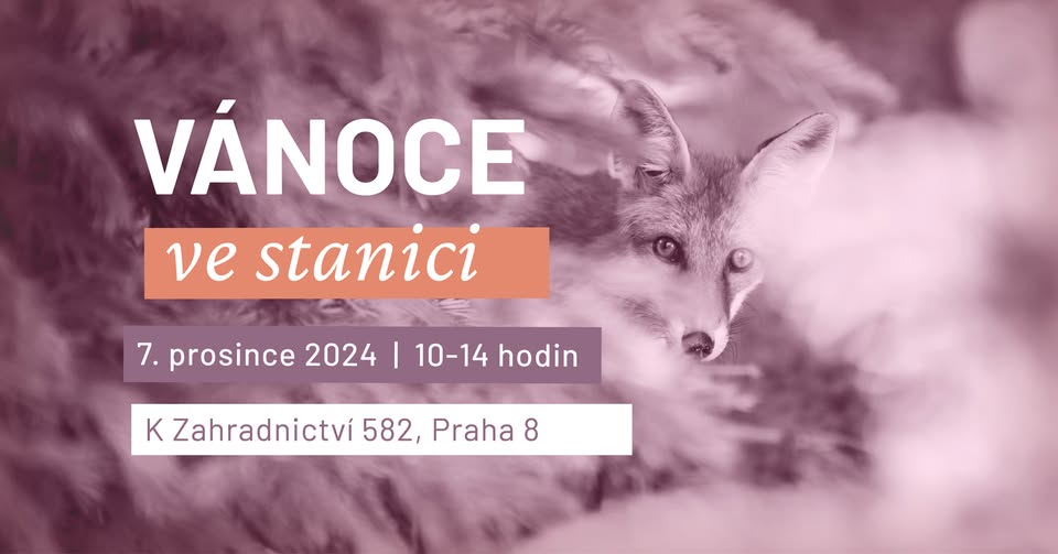Vánoce ve stanici 2024