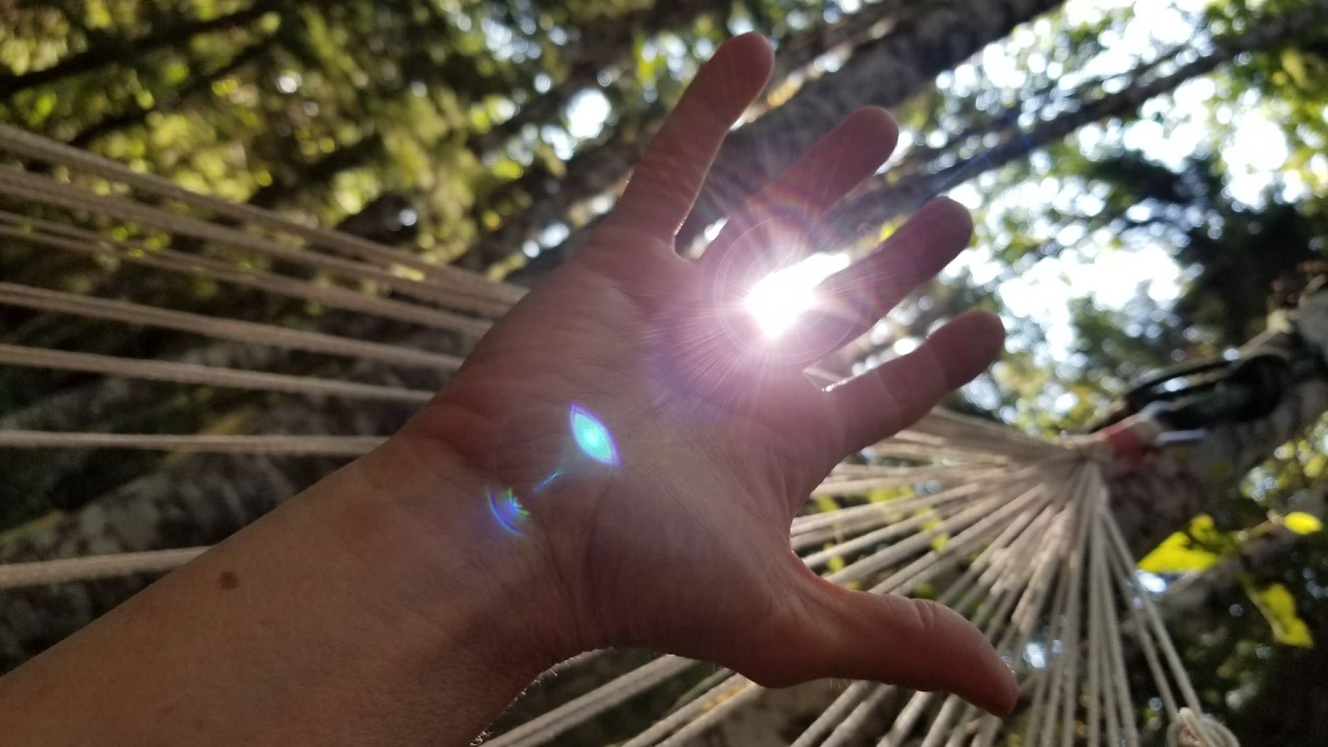 Learn How to Clear Heal and Create the life you want with IAcceptWaves