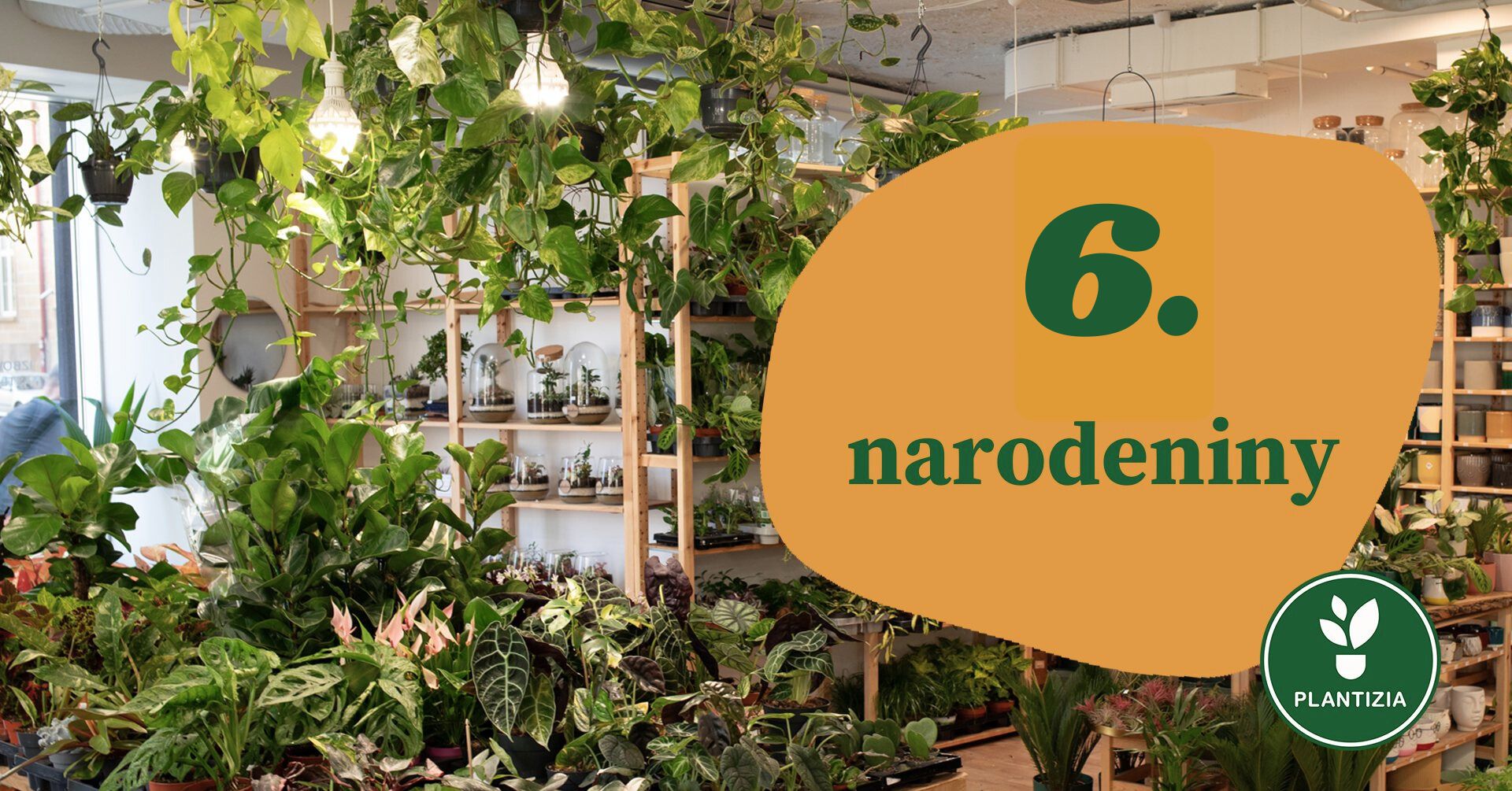 🎉 Predajňa Plantizia oslavuje 6. narodeniny 💚