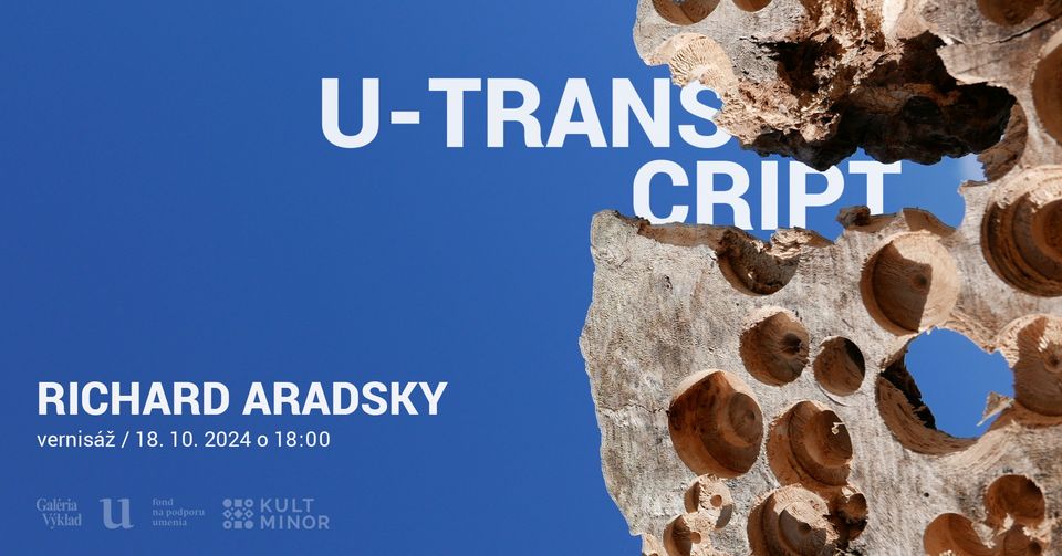 Richard Aradsky / U-TRANSCRIPT