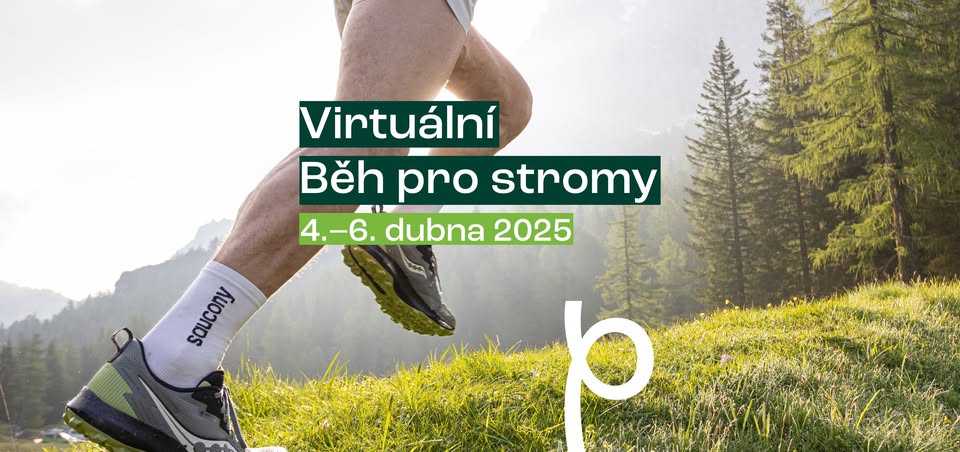Virtuální Běh pro stromy