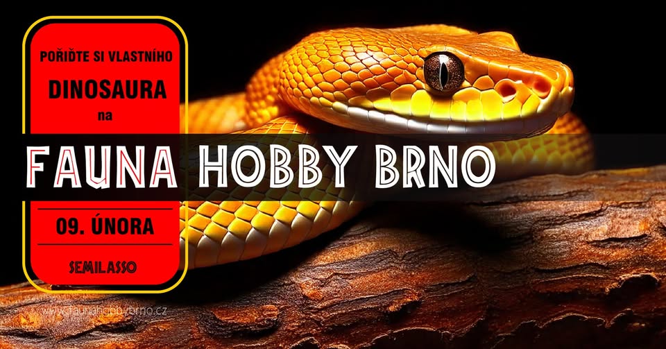 Terarijní a akvarijní trhy Fauna Hobby Brno