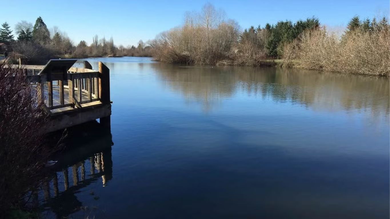 Commonwealth Lake Beginners Birding!!