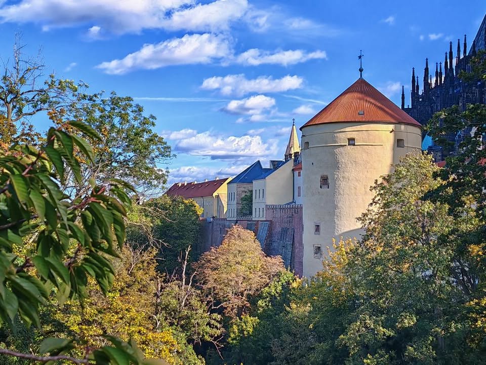 JELENÍ PŘÍKOP A KRÁLOVSKÁ ZAHRADA, komentovaná vycházka