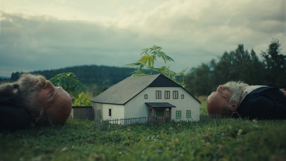 🐄 RADĚJI ZEŠÍLET V DIVOČINĚ | predpremiéra s diskusiou