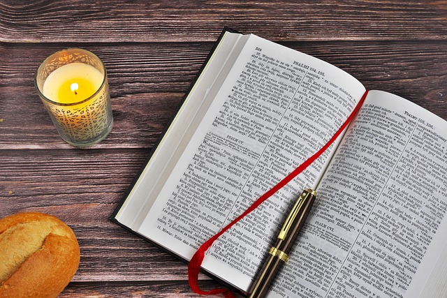 Bible 24