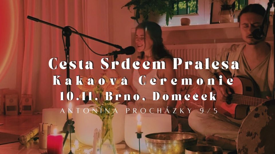 Cesta Srdcem Pralesa: Kakaová Ceremonie  | Zvukoterapie | Živý Hudební Doprovod | AKCE ZRUŠENA